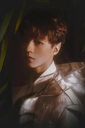 王俊凯TFBOYS成员No31