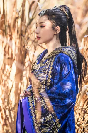柳岩NO40