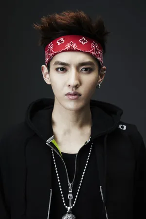 吴亦凡发带