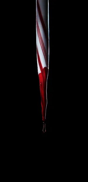 黑色圣诞 Black Christmas (2006)