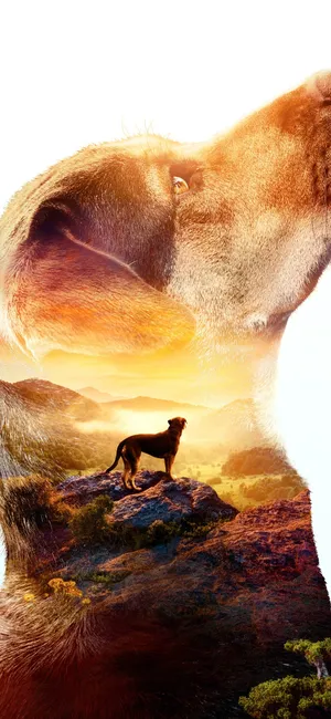 一条狗的回家路 A Dog's Way Home(2019)