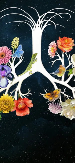 五尺天涯 Five Feet Apart(2019)