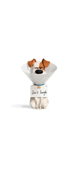 爱宠大机密2 The Secret Life of Pets 2(2019)