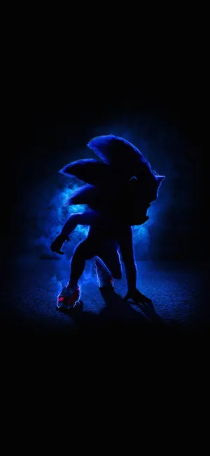 刺猬索尼克 Sonic the Hedgehog(2019)