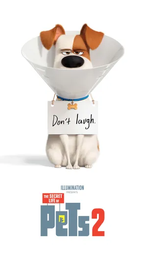 爱宠大机密2 The Secret Life of Pets2(2019)_1