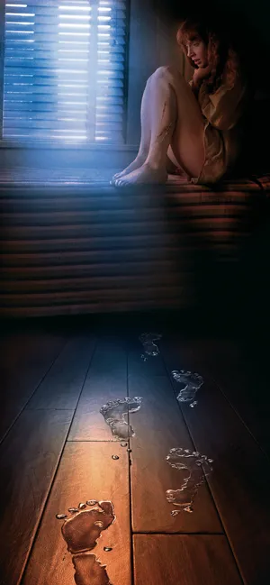 水中女妖 lady in the water(2006)