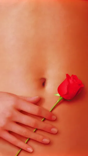 美国丽人 American Beauty(1999)_1