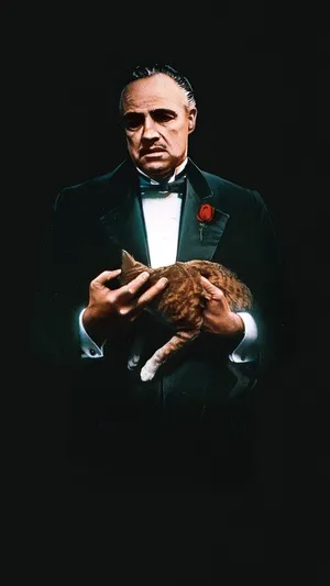 教父 the godfather(1972)