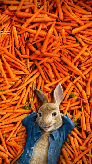 比得兔peter rabbit(2018)