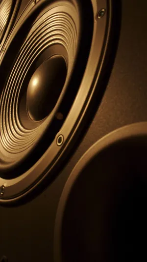 布朗大型扬声器