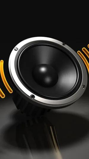 黑色的扬声器