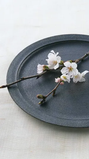Sakura樱花绝美意境静物写真_1