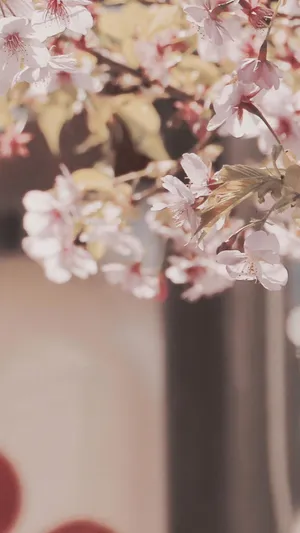 醉在樱花世界_1