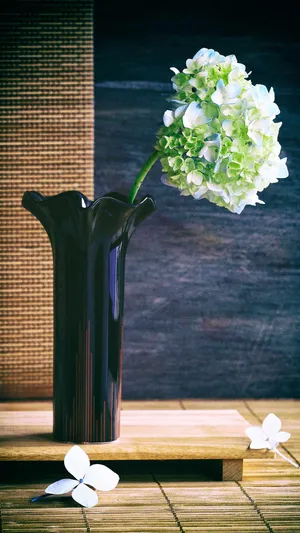 八仙花_1