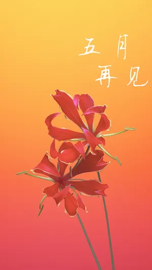 五月再见红花背景