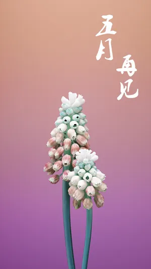 五月再见唯美鲜花背景