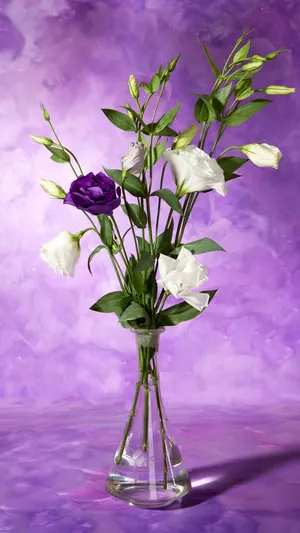 瓶中洁白的花朵