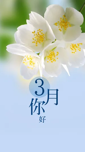 伴着拂面的清风,三月就这样来了