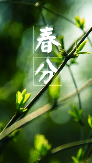春分至万物回春