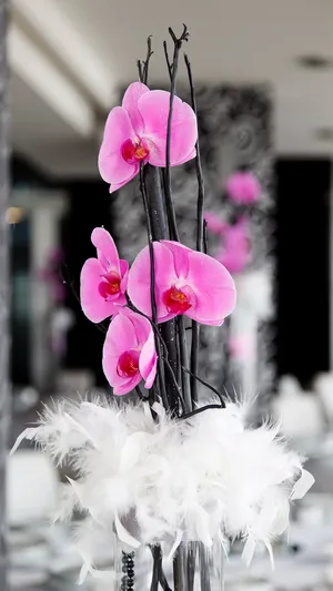 花一朵