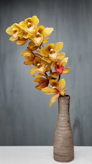 不以无人而不芳_1