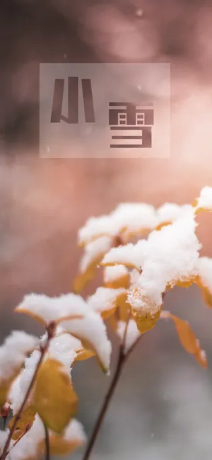 小雪霏霏送旧年