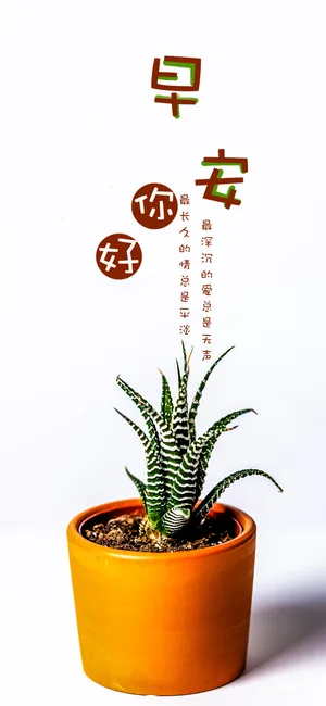 早安/最深沉的爱总是无声