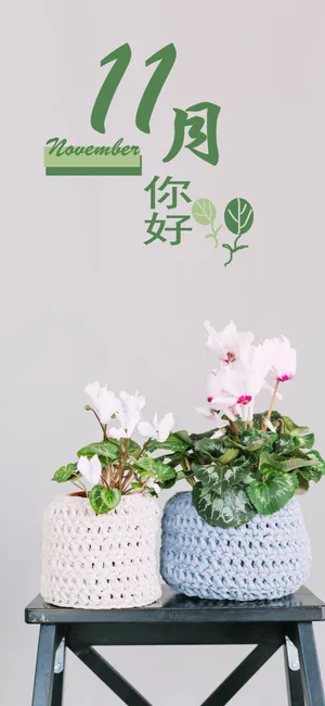 十一月了