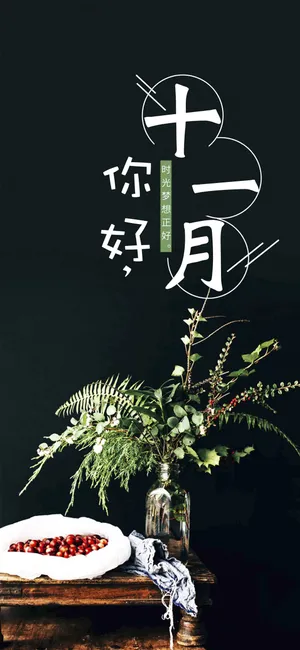 十一月你好,时光梦想正好