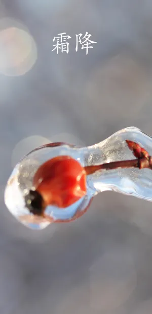 霜降时节好运来_1