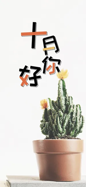 十月你好/小清新仙人掌盆栽