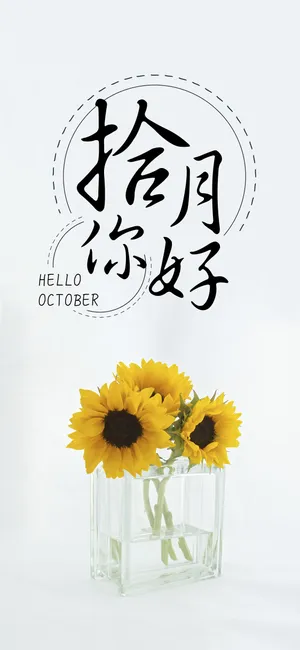 十月你好/小清新向日葵花语