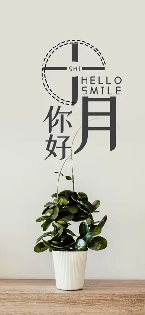 十月你好/小清新文艺范盆栽
