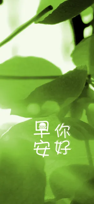 早安/人生最丰富也最生动的刹那