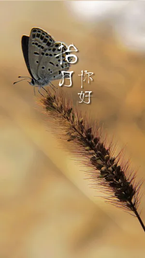 拾月你好:秋天来了第1张
