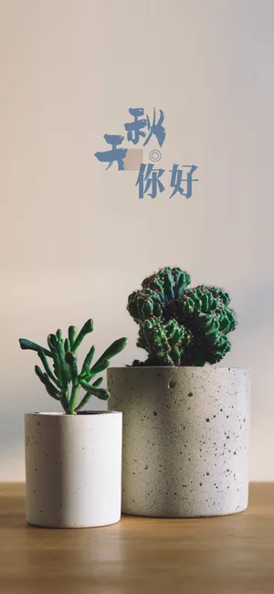 秋天你好：清新绿植