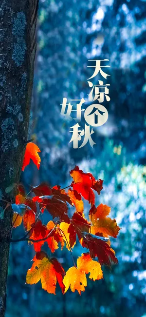 天凉好个秋