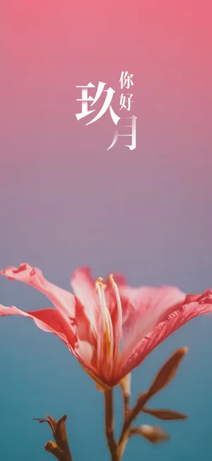 玖月你好一朵花的记忆