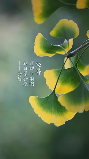 处暑_1