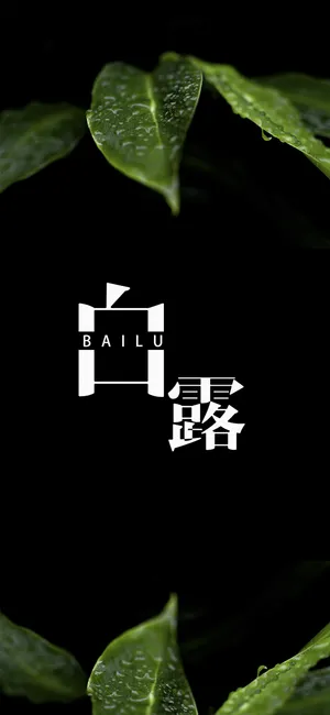 简约清新白露时节