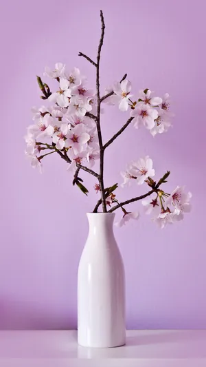 独特的插花