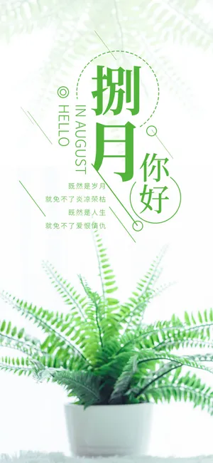 简约小清新唯美八月你好盆栽