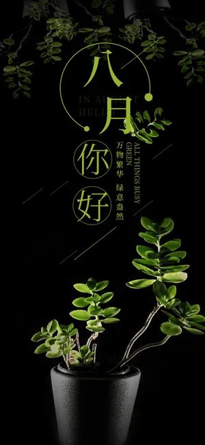 简约绿色八月你好