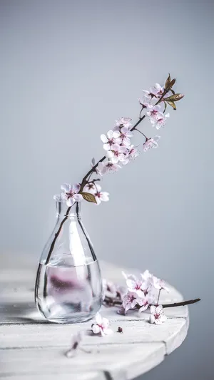 清新花朵第1张