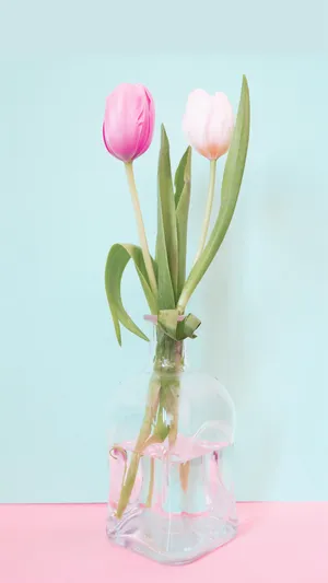 等一季花开