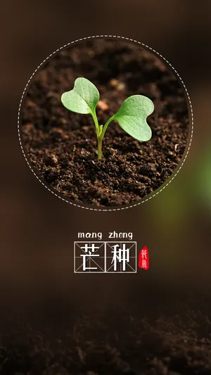 小清新芒种二十四节气第1张