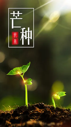 小清新芒种生长的嫩芽第1张