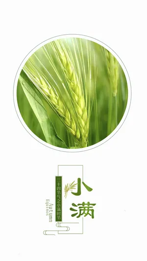 二十四节气之小满时节