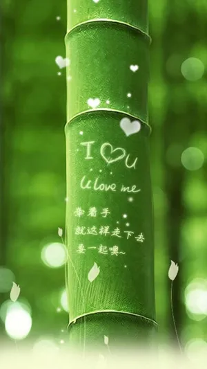 我爱你绿竹_1