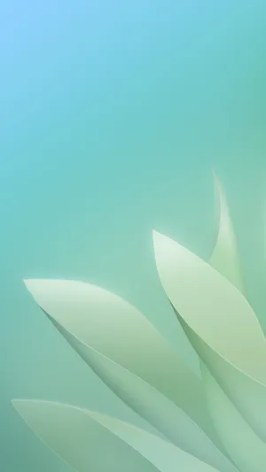 白色花瓣角浅蓝色背景_1